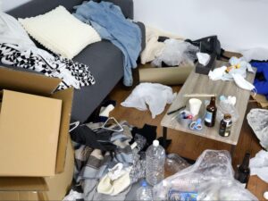 京都市のごみ屋敷条例の概要